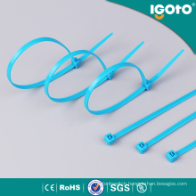 Blue Nylon Cable Tie for Wires
